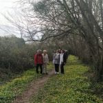 2025-03-06_marche_2.jpg
