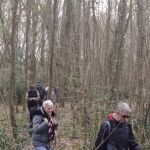 2025-03-06_marche_4.jpg